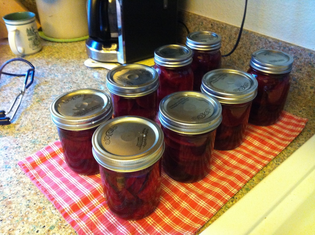 0061413 Pickled Beets 5